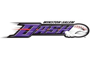 ws-dash-logo